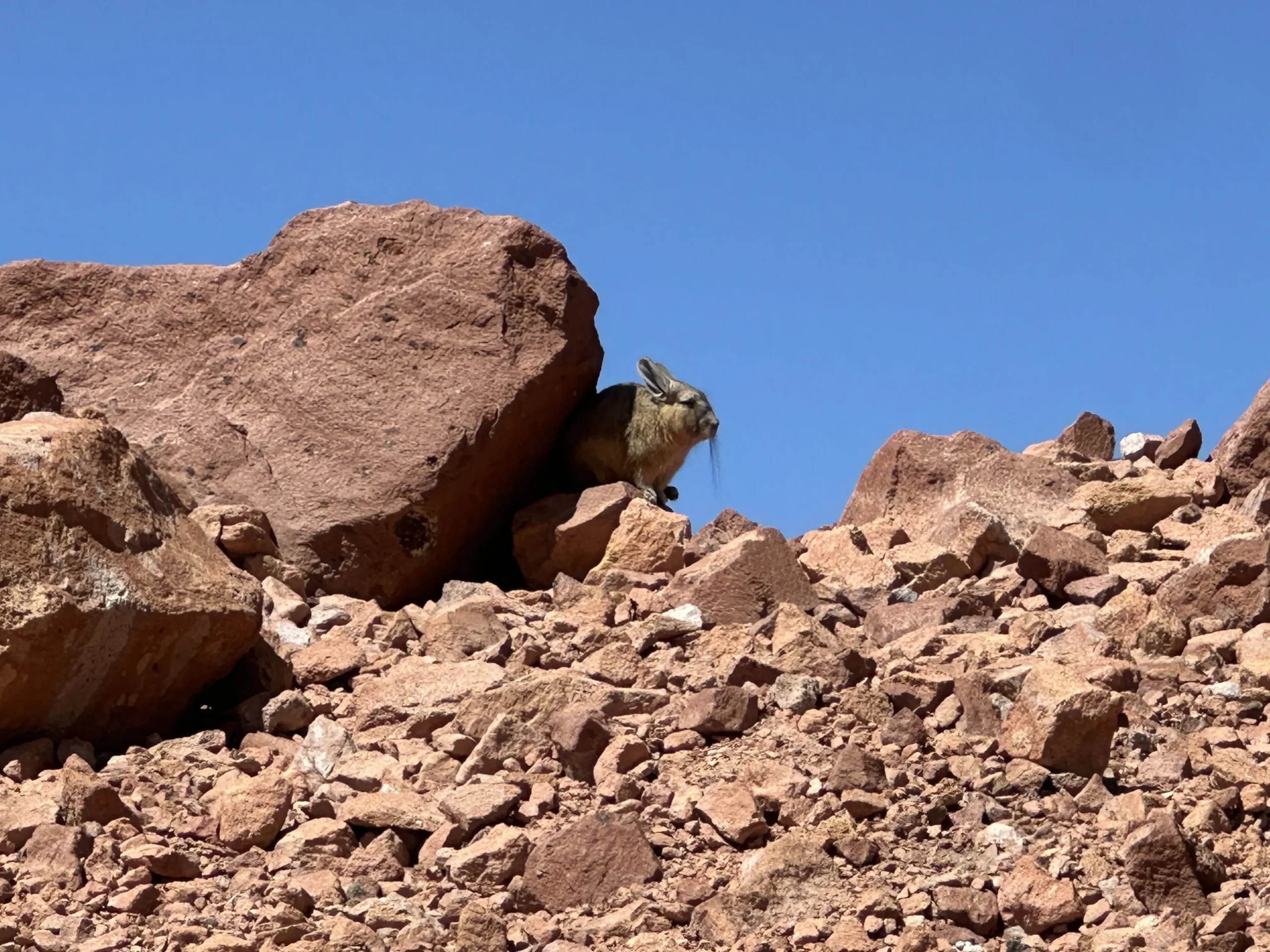 Red Rocks - Image 6